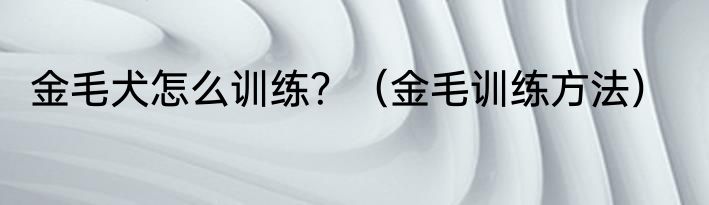 金毛犬怎么训练？（金毛训练方法）
