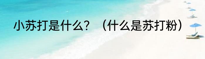 小苏打是什么？（什么是苏打粉）