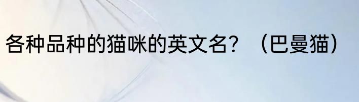 各种品种的猫咪的英文名？（巴曼猫）