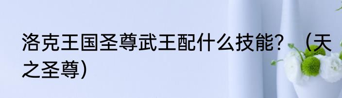 洛克王国圣尊武王配什么技能？（天之圣尊）
