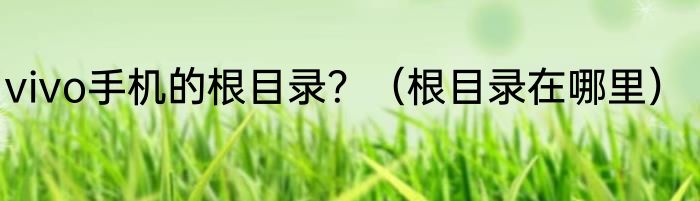 vivo手机的根目录？（根目录在哪里）