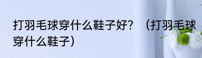 打羽毛球穿什么鞋子好？（打羽毛球穿什么鞋子）