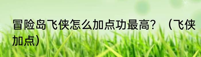 冒险岛飞侠怎么加点功最高？（飞侠加点）