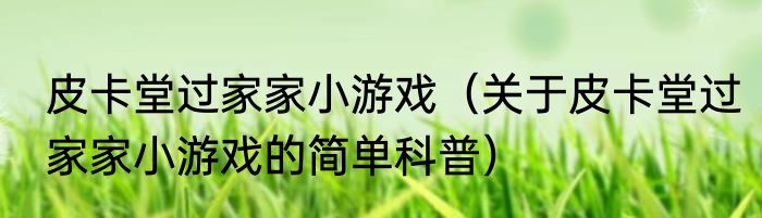 皮卡堂过家家小游戏（关于皮卡堂过家家小游戏的简单科普）
