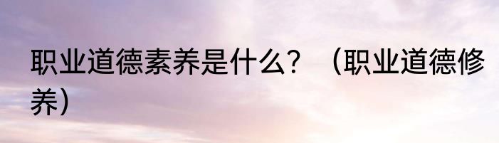 职业道德素养是什么？（职业道德修养）