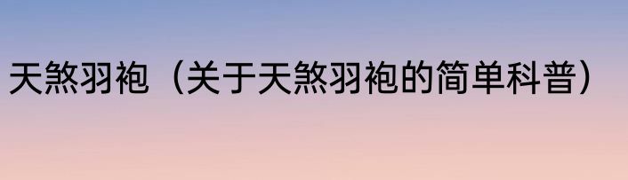 天煞羽袍（关于天煞羽袍的简单科普）