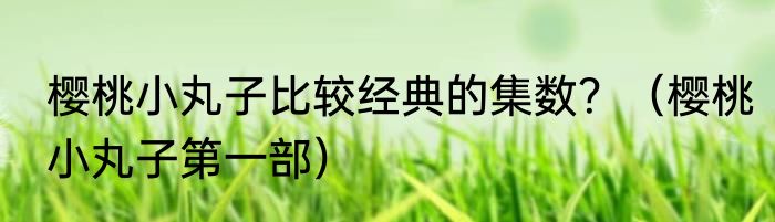 樱桃小丸子比较经典的集数？（樱桃小丸子第一部）