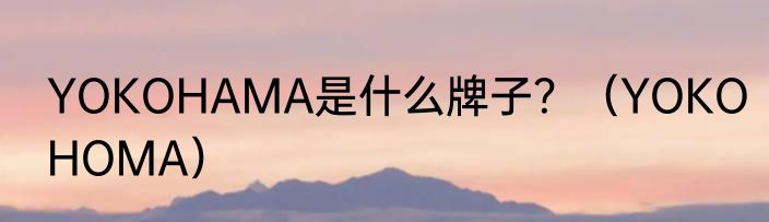 YOKOHAMA是什么牌子？（YOKOHOMA）