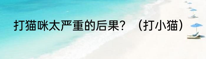 打猫咪太严重的后果？（打小猫）