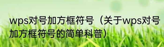 wps对号加方框符号（关于wps对号加方框符号的简单科普）