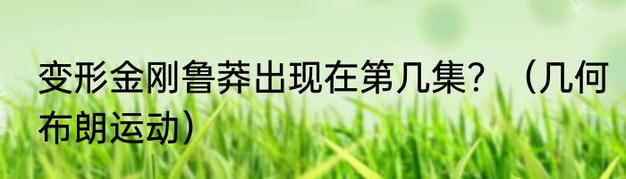 变形金刚鲁莽出现在第几集？（几何布朗运动）