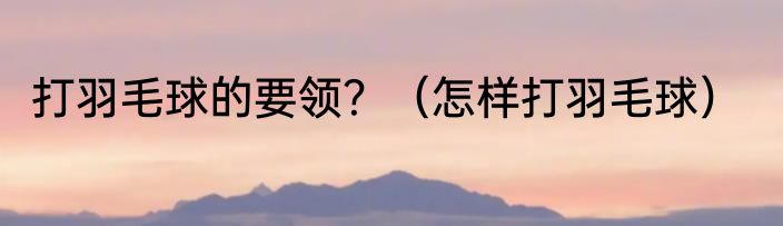 打羽毛球的要领？（怎样打羽毛球）