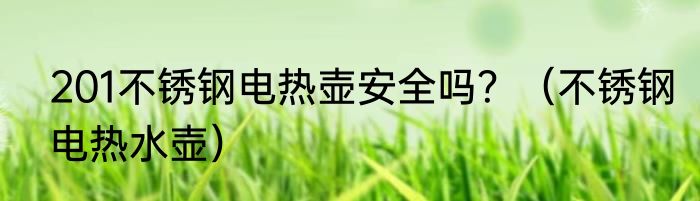 201不锈钢电热壶安全吗？（不锈钢电热水壶）