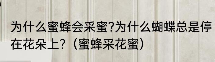 为什么蜜蜂会采蜜?为什么蝴蝶总是停在花朵上?（蜜蜂采花蜜）