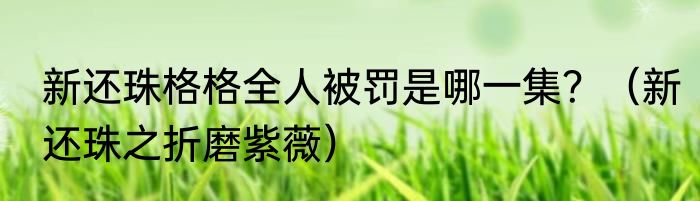 新还珠格格全人被罚是哪一集？（新还珠之折磨紫薇）