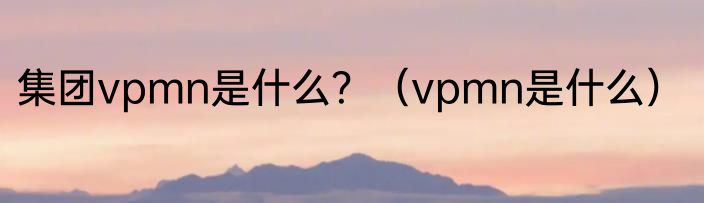 集团vpmn是什么？（vpmn是什么）