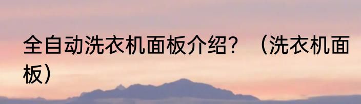 全自动洗衣机面板介绍？（洗衣机面板）