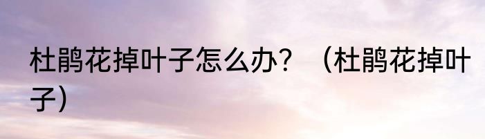 杜鹃花掉叶子怎么办？（杜鹃花掉叶子）