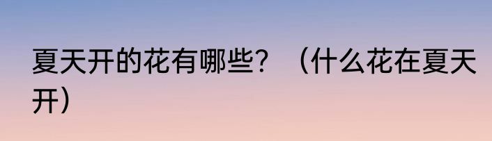 夏天开的花有哪些？（什么花在夏天开）