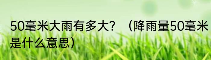 50毫米大雨有多大？（降雨量50毫米是什么意思）
