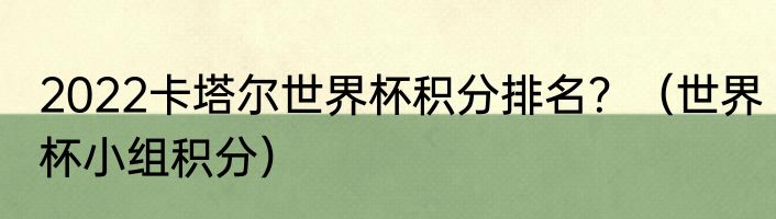 2022卡塔尔世界杯积分排名？（世界杯小组积分）
