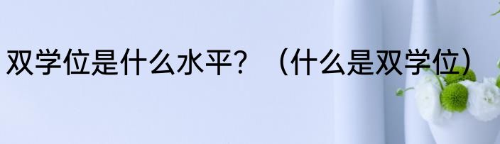 双学位是什么水平？（什么是双学位）