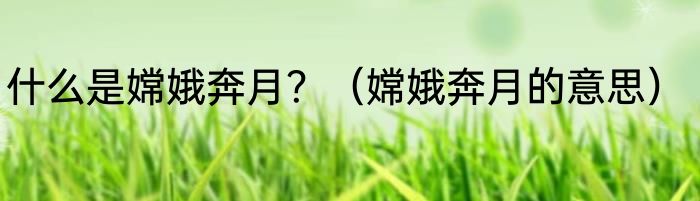 什么是嫦娥奔月？（嫦娥奔月的意思）