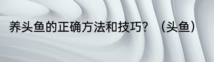 养头鱼的正确方法和技巧？（头鱼）