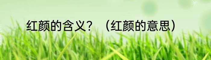 红颜的含义？（红颜的意思）