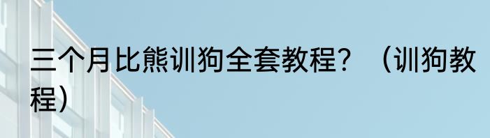 三个月比熊训狗全套教程？（训狗教程）