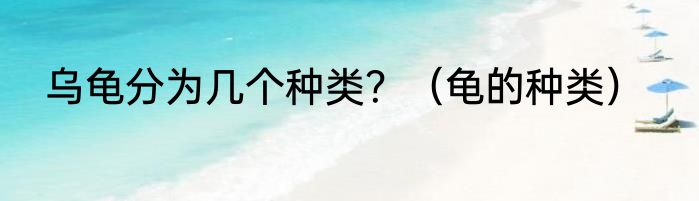 乌龟分为几个种类？（龟的种类）