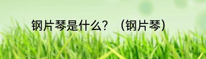 钢片琴是什么？（钢片琴）