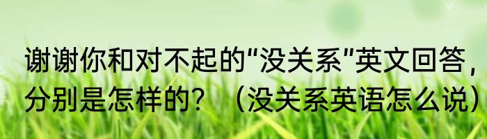 谢谢你和对不起的“没关系”英文回答，分别是怎样的？（没关系英语怎么说）