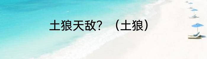 土狼天敌？（土狼）