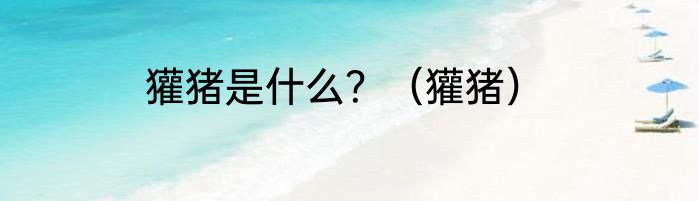 獾猪是什么？（獾猪）