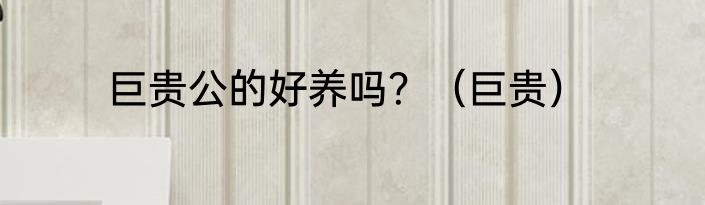 巨贵公的好养吗？（巨贵）
