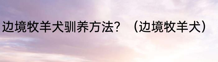 边境牧羊犬驯养方法？（边境牧羊犬）