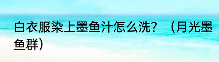 白衣服染上墨鱼汁怎么洗？（月光墨鱼群）