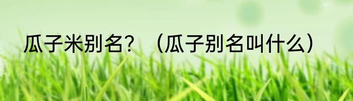 瓜子米别名？（瓜子别名叫什么）