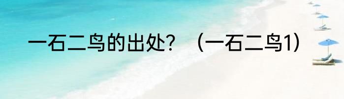 一石二鸟的出处？（一石二鸟1）