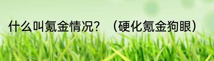 什么叫氪金情况？（硬化氪金狗眼）