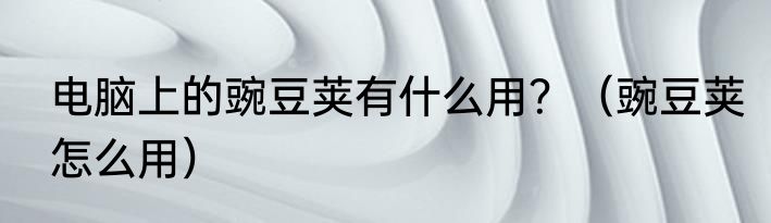 电脑上的豌豆荚有什么用？（豌豆荚怎么用）