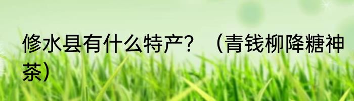 修水县有什么特产？（青钱柳降糖神茶）