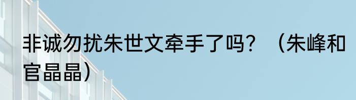 非诚勿扰朱世文牵手了吗？（朱峰和官晶晶）