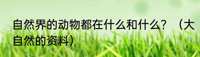 自然界的动物都在什么和什么？（大自然的资料）