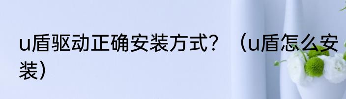 u盾驱动正确安装方式？（u盾怎么安装）