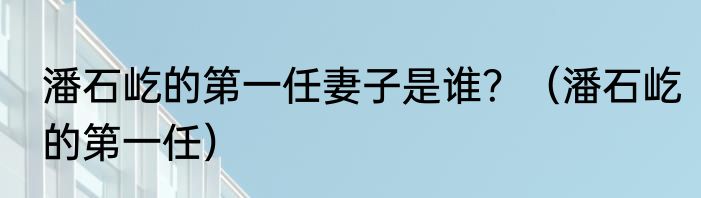 潘石屹的第一任妻子是谁？（潘石屹的第一任）