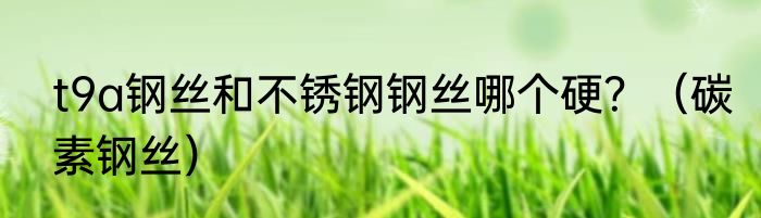t9a钢丝和不锈钢钢丝哪个硬？（碳素钢丝）