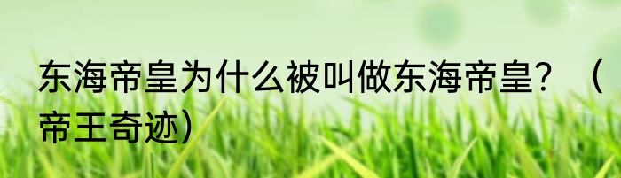 东海帝皇为什么被叫做东海帝皇？（帝王奇迹）