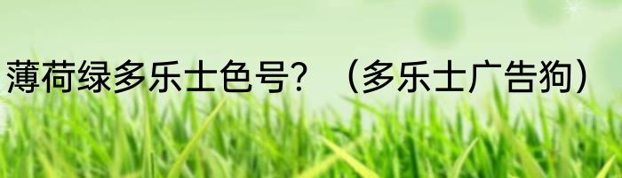 薄荷绿多乐士色号？（多乐士广告狗）